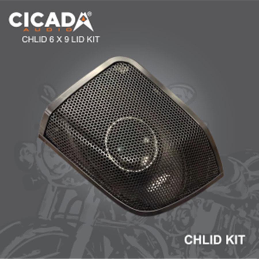 CICADA OVERSIZED CAST FRAM 6X9 CHLID